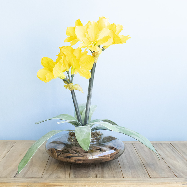 Arranjo De Amarílis Amarelo No Vaso De Vidro | Formosinha